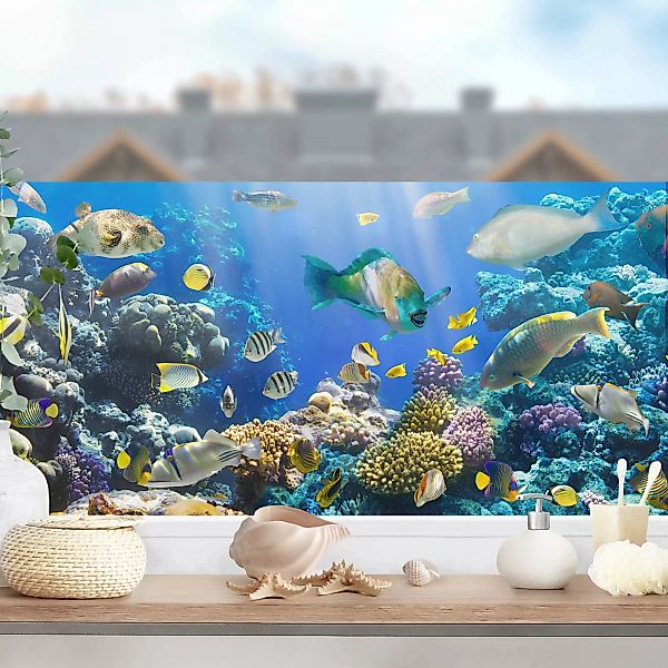 Fensterfolie Tiere Underwater Reef günstig online kaufen