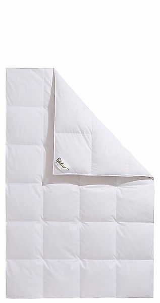 fjödur Federbettdecke "Finn" warm Füllung 70Federn30Daunen 1 Stk. tlg. günstig online kaufen