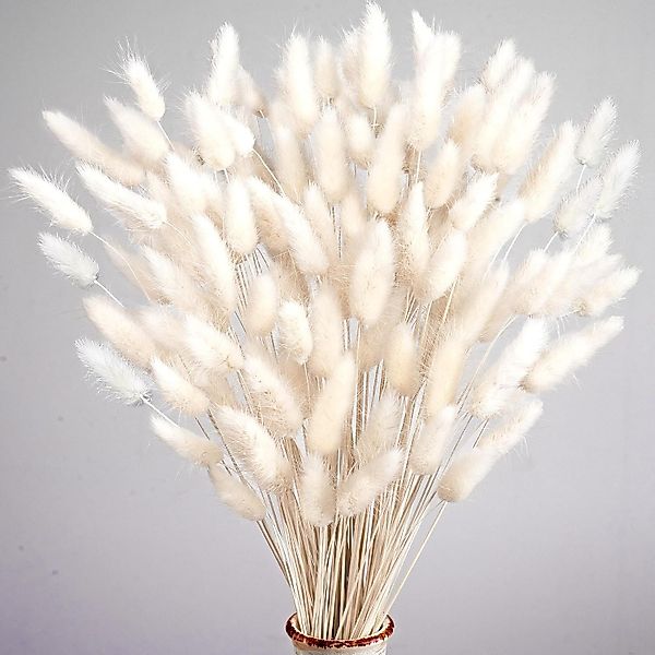Kunstblume 120 Stück Pampasgras Klein, Hasenschwanzgras günstig online kaufen