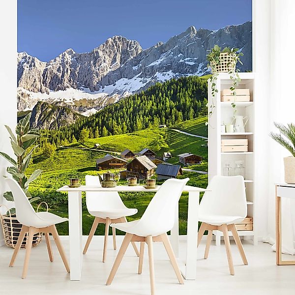 Bilderdepot24 Fototapete Berge Steiermark Almwiese Natur günstig online kaufen