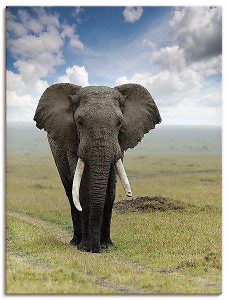 Artland Wandbild »Elefant«, Wildtiere, (1 St.), als Alubild, Outdoorbild, L günstig online kaufen