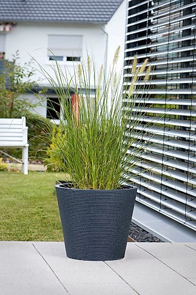 Scheurich Blumentopf "30/242 CONEO 30" günstig online kaufen