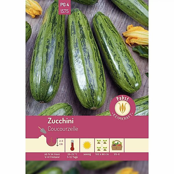 Pabst Keimkraft Zucchini Wüchsig & Rankenlos Coucourzelle Saatgut günstig online kaufen