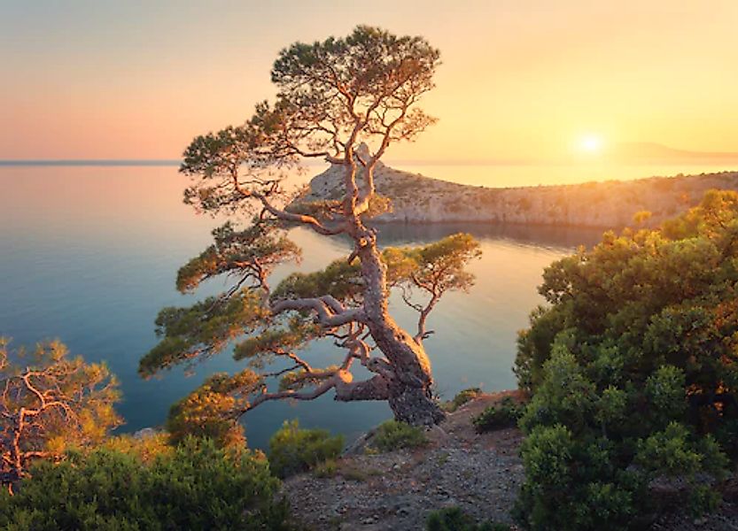 Papermoon Fototapete »Tree Mountain Sunset« glatt günstig online kaufen