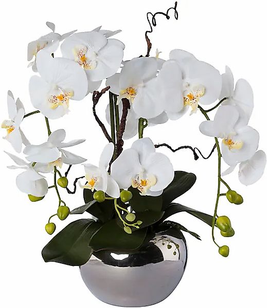 Kunstorchidee Phalaenopsis, Creativ green, Höhe 55 cm, im Keramiktopf günstig online kaufen