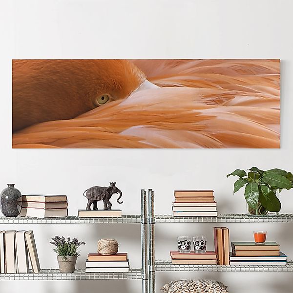 Leinwandbild - Panorama Flamingofedern günstig online kaufen