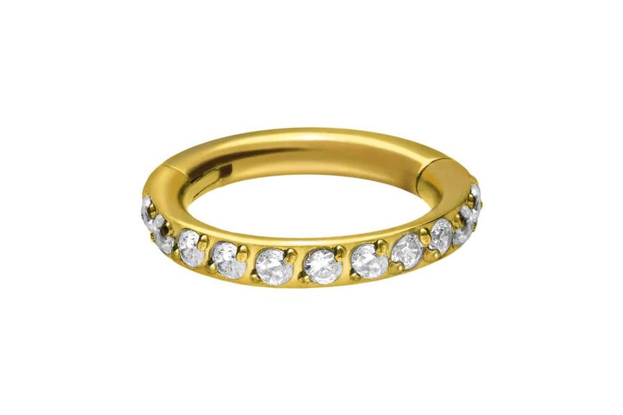 PIERCINGLINE Nasenpiercing Titan Segmentring Clicker EINGEFASSTE günstig online kaufen
