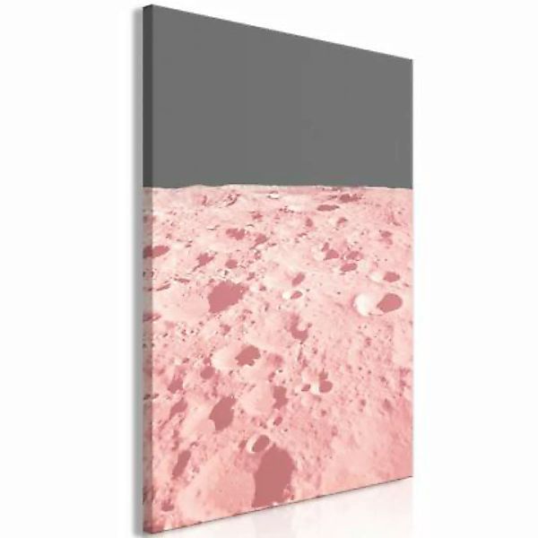 artgeist Wandbild Pink Moon (1 Part) Vertical rosa-kombi Gr. 40 x 60 günstig online kaufen