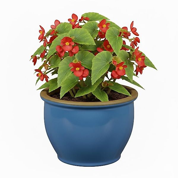 Teramico Pflanzkübel Blumentopf Pflanzgefäß aus Keramik günstig online kaufen