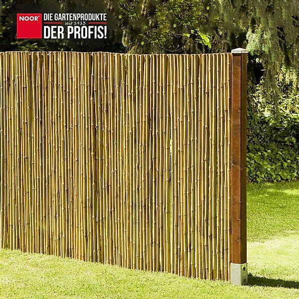 NOOR Sichtschutzzaunmatten Bambusmatte DELUXE - extra günstig online kaufen