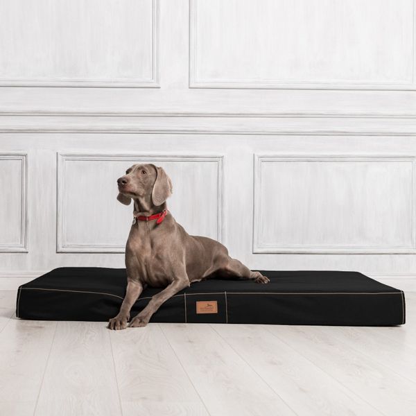 tierlando® Tierbett Orthopädische Hundematratze HUGO Ortho günstig online kaufen