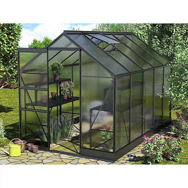 Vitavia Gewächshaus Apollo 6200 Schwarz 6,2 m² inkl. Fundament günstig online kaufen
