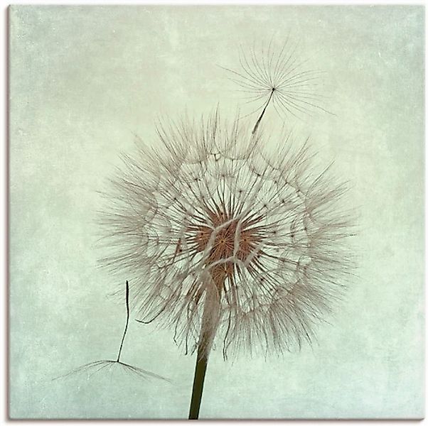 Artland Wandbild »Pusteblume II« Blumen 1 Stk. tlg. als Leinwandbild, Poste günstig online kaufen
