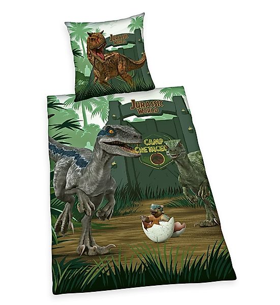 Herding Jugendbettwäsche 135x200cm Jurassic World Camp günstig online kaufen