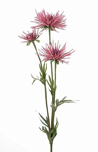 Flower & Style Kunstpflanzen & -blumen Chrysantheme amethyst 73 cm (lila) günstig online kaufen