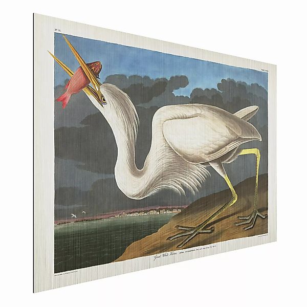 Alu-Dibond Bild Tiere - Querformat 3:2 Vintage Lehrtafel Großer weißer Reih günstig online kaufen