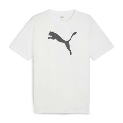 PUMA T-Shirt Puma Herren T-Shirt teamRISE günstig online kaufen