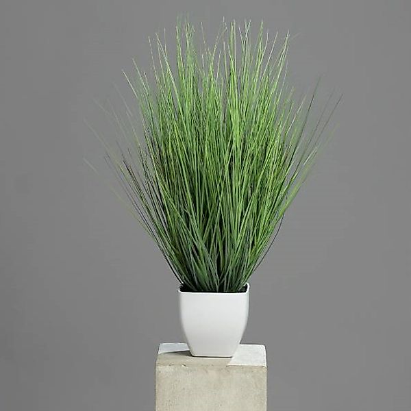 Kunstgras Topfpflanze, DPI, Höhe 60 cm günstig online kaufen