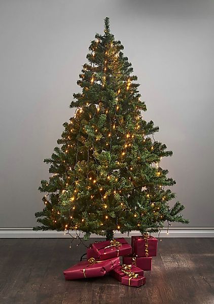 EGLO LED-Lichterkette GOLDEN WARM WHITE - Weihnachtsdeko - Beleuchtung - Wi günstig online kaufen