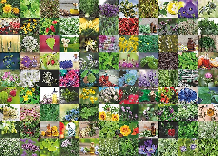 Ravensburger Verlag GmbH Puzzle 99 Kräuter, günstig online kaufen