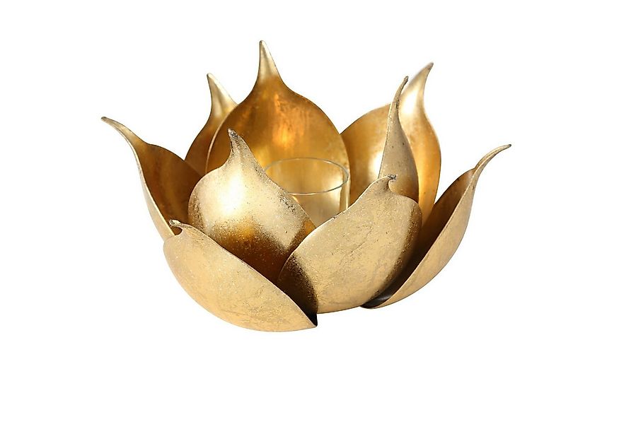 MF Windlicht Windlicht Lotusgold Lotusblume Metall Gold 20 cm (1 St) günstig online kaufen