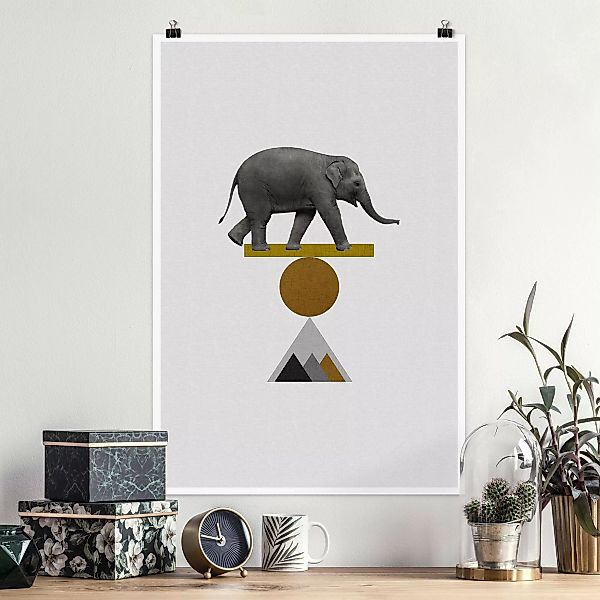 Poster Balancekunst Elefant günstig online kaufen