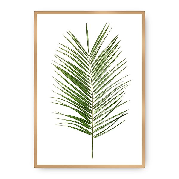 Poster Palm Leaf Green, 30 x 40 cm, Rahmen wählen: gold günstig online kaufen