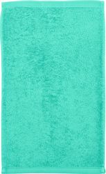 ROSS Duschtuch "Vita" Bestickung ROSS-Emblem günstig online kaufen