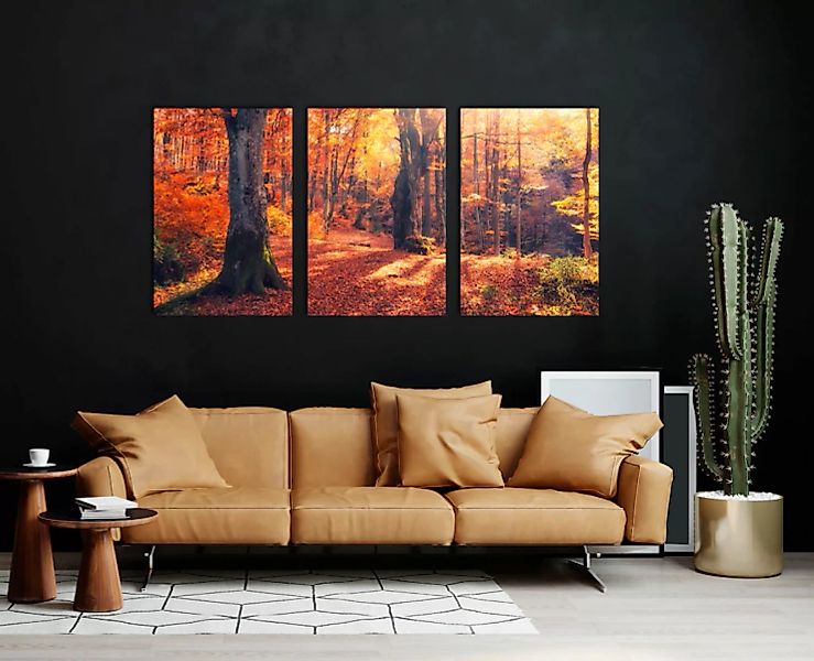 queence Acrylglasbild "Herbstwald 3-teilig", Wald, (1 St.) günstig online kaufen