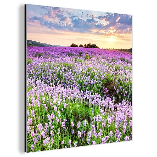 MuchoWow Metallbild Blumen - Lavendel - günstig online kaufen