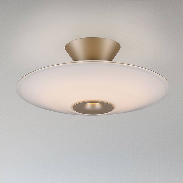 Paul Neuhaus LED-Deckenlampe Elipsa, weiß/bronze, Ø 35 cm günstig online kaufen