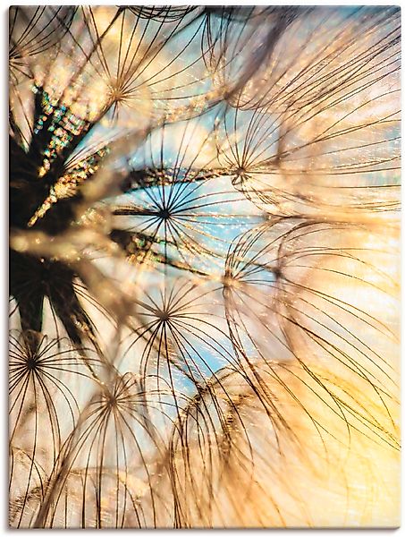 Artland Wandbild »Pusteblume Poesie« Blumen 1 Stk. tlg. als Leinwandbild, P günstig online kaufen