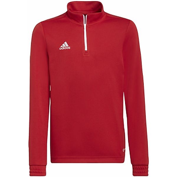 adidas  Sweatshirt Sweatshirt für Jungen günstig online kaufen