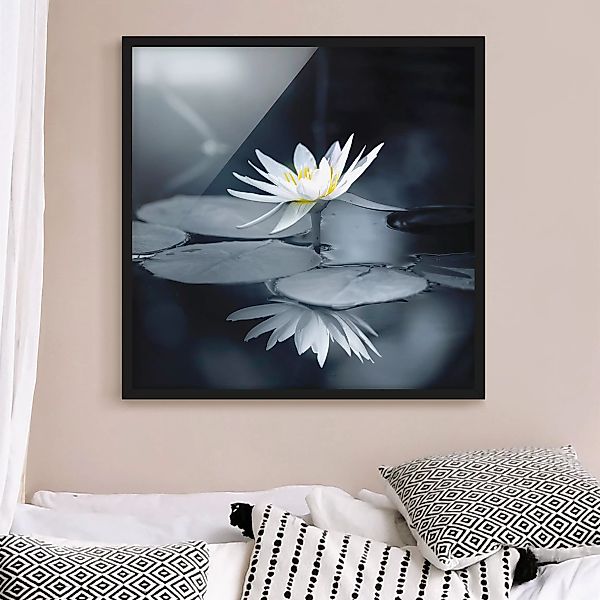Bild mit Rahmen Lotus Spiegelung im Wasser günstig online kaufen