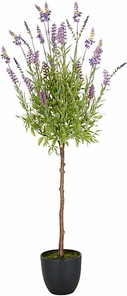 Creativ green Kunstpflanze "Lavendel", mit filigranen Lavendelbüten günstig online kaufen