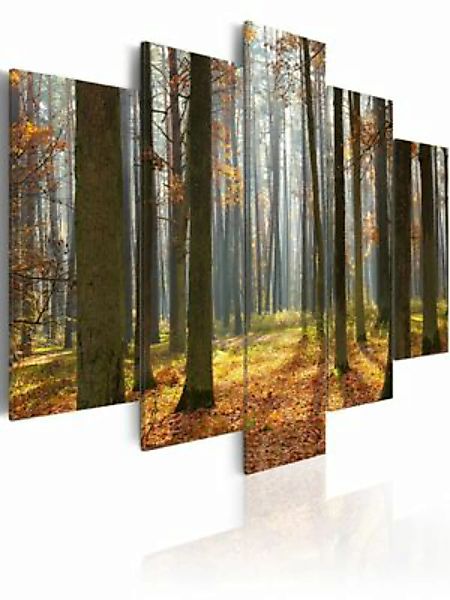 artgeist Wandbild Malerische Waldlandschaft mehrfarbig Gr. 200 x 100 günstig online kaufen