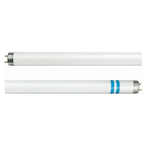 Philips G13 T8 Leuchtstoffröhre mit Splitterschutz günstig online kaufen