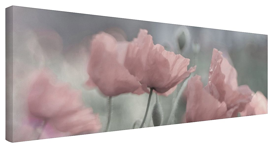 Bilderdepot24 Leinwandbild Blume Natur Modern Malerei günstig online kaufen