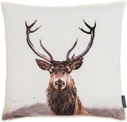 Magma Heimtex Kissenbezug Into to Wild günstig online kaufen