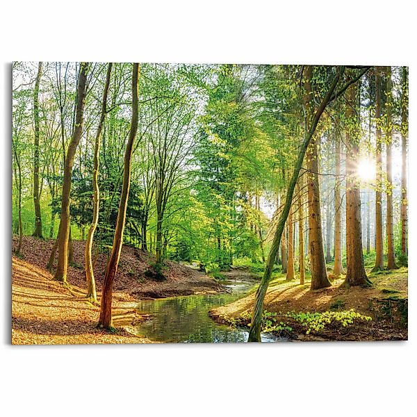 Reinders Deco-Panel "Sonniger Wald", Hobbyraum - Grün - MDF - Wald - 140x10 günstig online kaufen