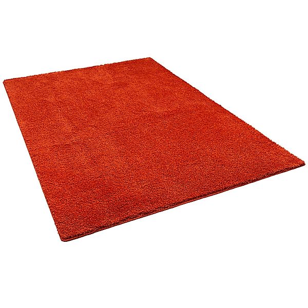 Snapstyle Hochflor Shaggy Teppich Palace Rost 200x300cm günstig online kaufen