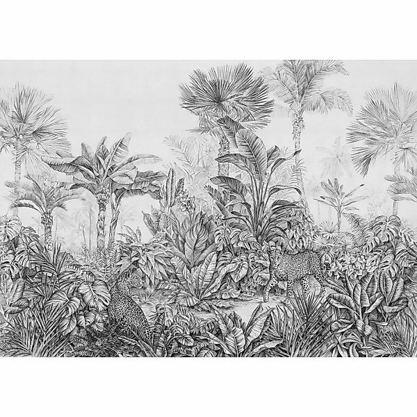 Komar Vliesfototapete Léopards 350 cm x 250 cm günstig online kaufen
