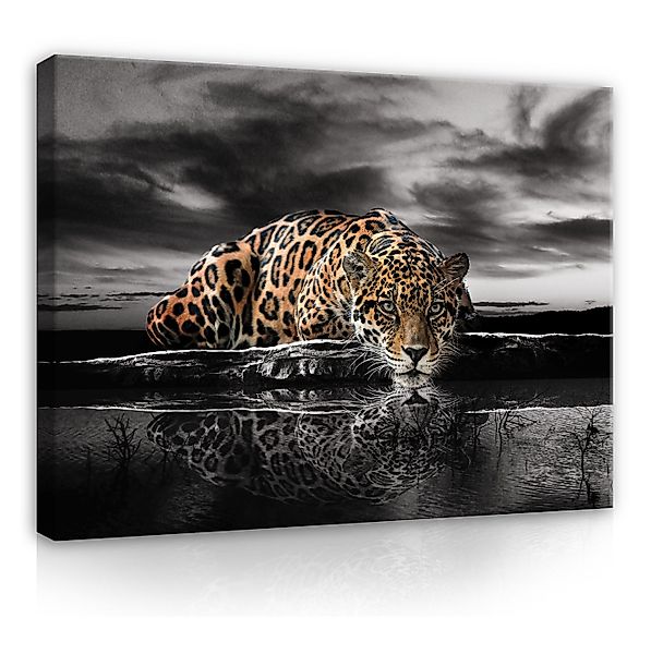 Wallarena Leinwandbild Tiere Lampard Tiger Afrika günstig online kaufen