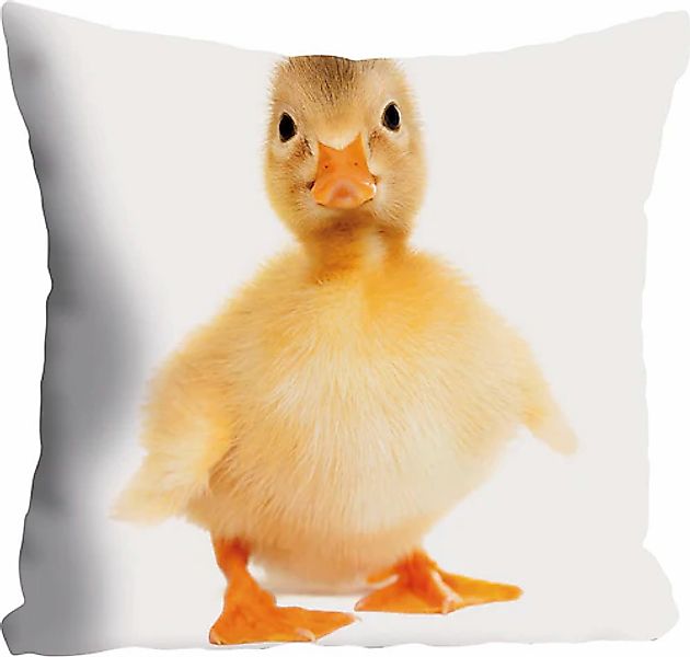 queence Dekokissen »Manuel«, Kissenhülle,Ente,Tiermotiv,Niedlich,Haustier,V günstig online kaufen