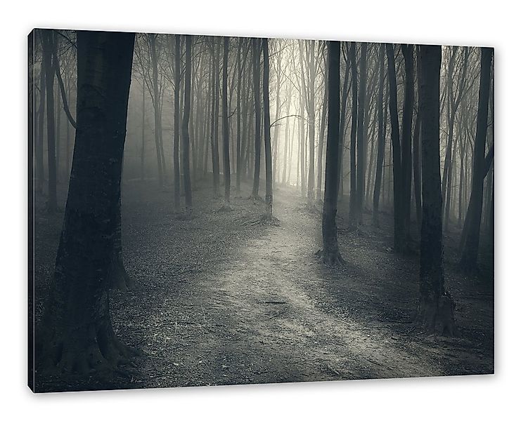 Pixxprint Leinwandbild Düstere Landschaft schwarz weiß, Düstere Landschaft günstig online kaufen