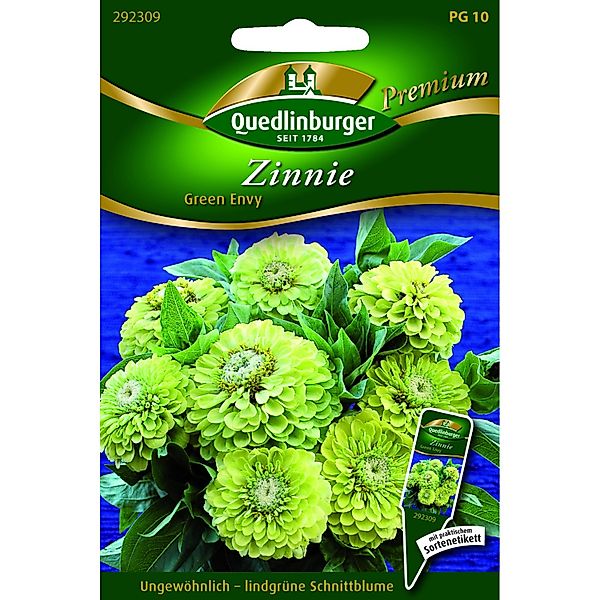 Quedlinburger Zinnien ''Green Envy'' günstig online kaufen