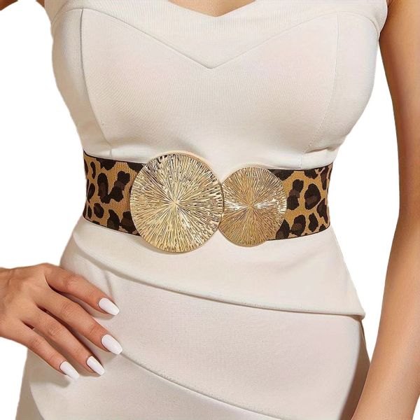 Coonoor Taillengürtel Damen Elastische gürtel, 6cm günstig online kaufen