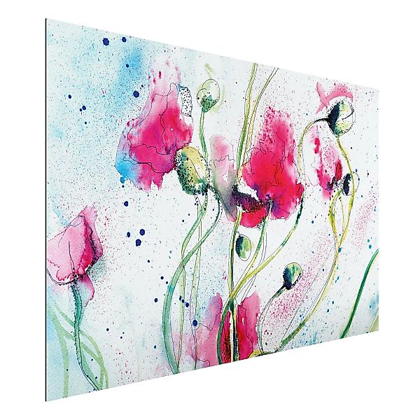 Alu-Dibond Bild Blumen - Querformat 3:2 Painted Poppies günstig online kaufen