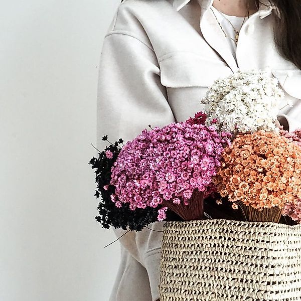 Trockenblume Glixia in Vielfalt: Farbenprächtige Trockenblumen günstig online kaufen