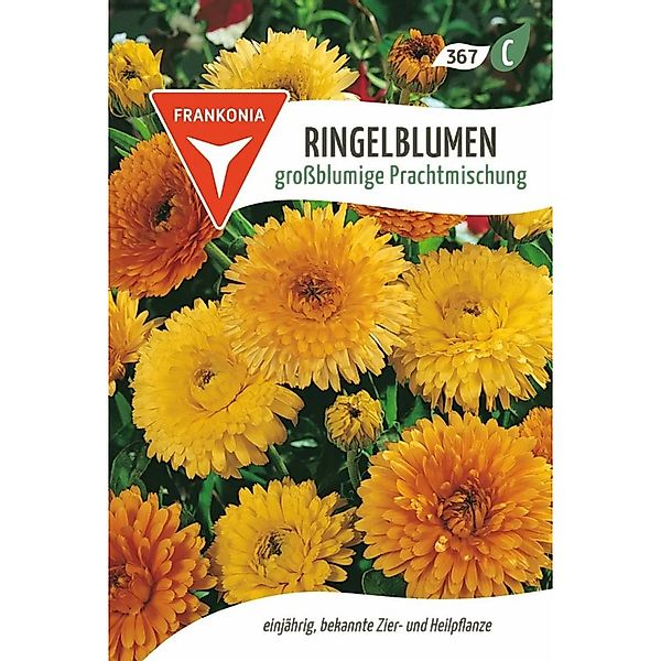 FRANKONIA Ringelblume Großblumige Prachtmischung günstig online kaufen